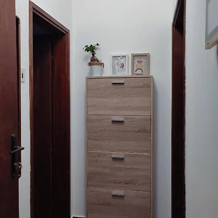 Mila Center-free Parking Apartment Vranje