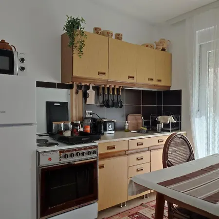 Apartment Mila Center-free Parking Vranje