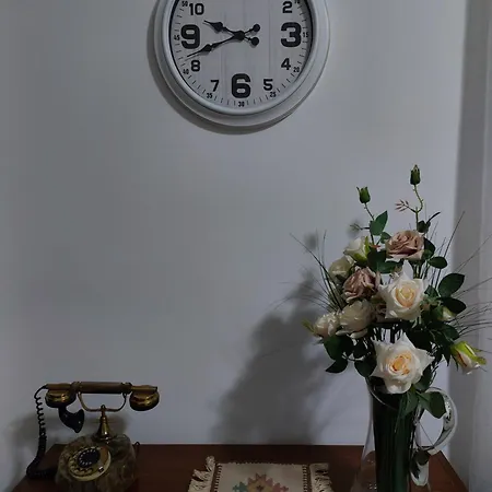 Apartament Mila Center-free Parking