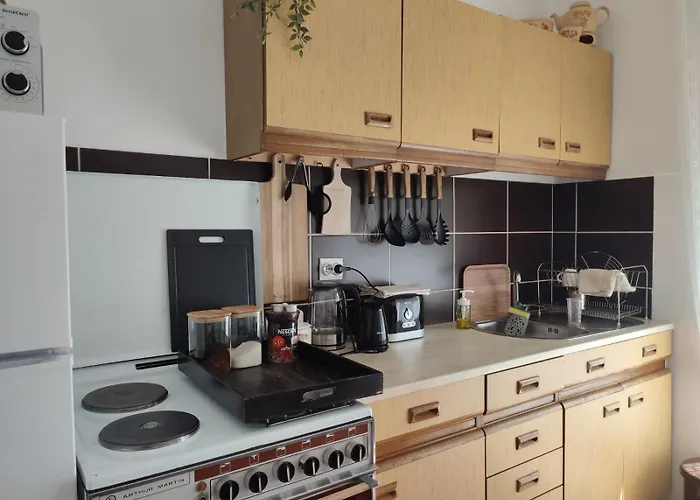 Appartement Mila Center-free Parking