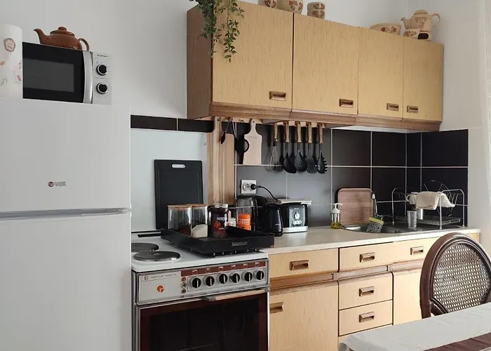 Mila Center-free Parking Vranje